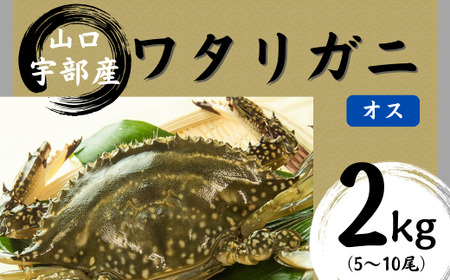 【北海道・東北・沖縄・離島配送不可／着日指定必須】ワタリガニ [オス] 約2kg(5～10尾) ワタリガニ