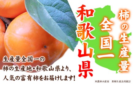 先行予約〈ご家庭用〉柿の名産地 九度山の 富有柿 約 7.5kg 厳選館 《2024年11月上旬-12月下旬頃出荷》 和歌山県 日高川町 柿 カキ かき ジューシー フルーツ