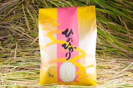2025年秋収穫分 福岡県大川市産ヒノヒカリ 3kg【ギフト包装】