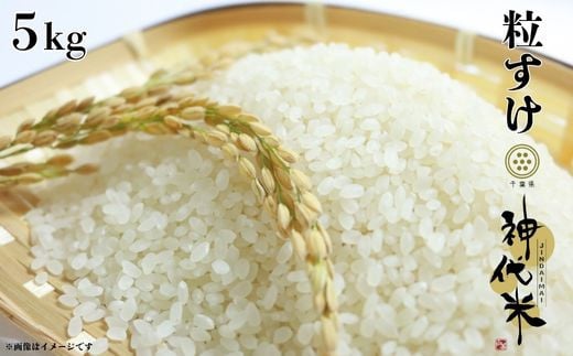 
            神代米 （ 粒すけ ） 精白米 5kg ／ 米 お米 こめ コメ
          