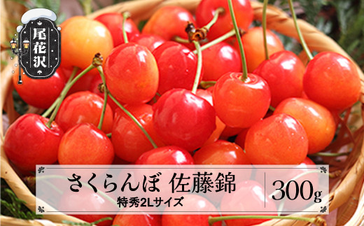 
先行予約 2025年産 さくらんぼ 佐藤錦 特秀2Lサイズ 300g 贈答用 化粧箱入 プレゼント ギフト 令和7年産 山形県産 ns-snt2x300
