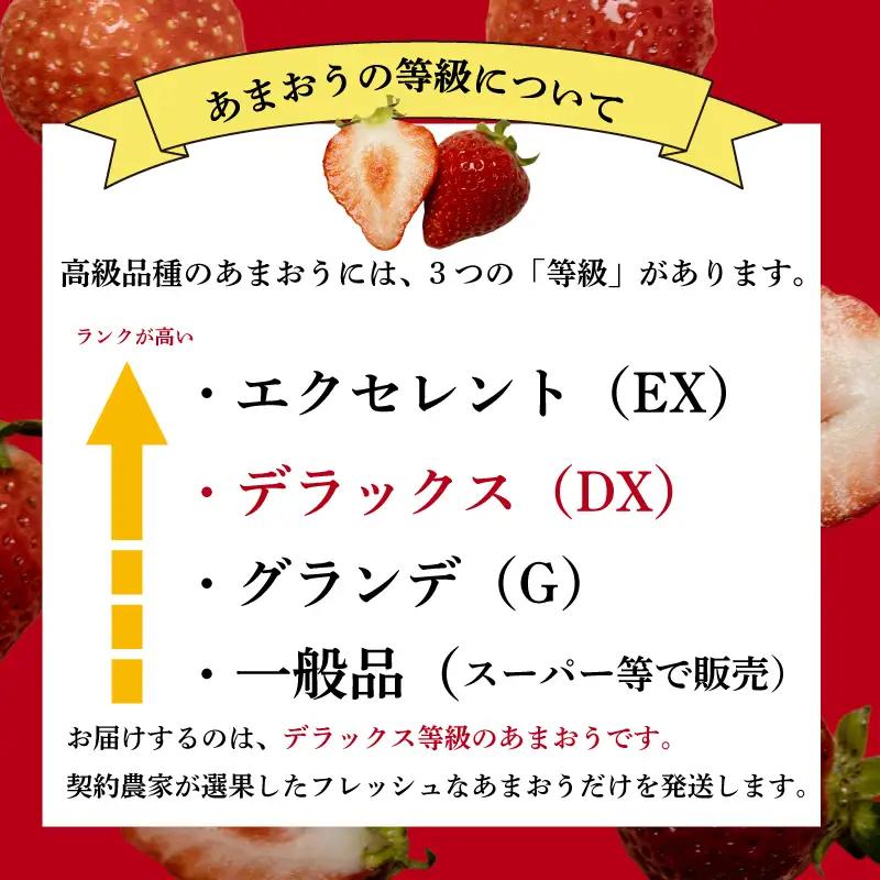 【2027年2月上旬‐3月上旬発送】先行予約 福岡県産 いちご あまおう  約250g×4P (約1000g) ｜苺 イチゴ KBY