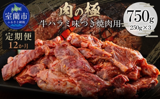 【12か月定期便】牛ハラミ味つき焼肉用 750g (250g×3) 【ふるさと納税 人気 おすすめ ランキング 肉 牛肉 牛ハラミ 牛 ハラミ にく ニク 味付き 焼肉 バーベキュー BBQ 北海道 室蘭市 送料無料】 MROBM046