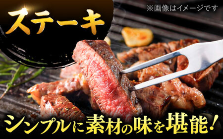 博多和牛サーロインステーキセット　1kg[250g×４枚] 桂川町/株式会社 MEAT PLUS[ADAQ002]