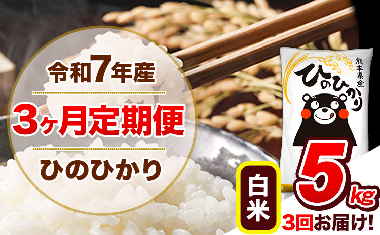 【3ヶ月定期便】令和7年産 定期便 ひのひかり白米 5kg 《お申込み翌月から出荷》熊本県産 ふるさと納税 白米 精米 ひの 米 こめ ふるさとのうぜい ヒノヒカリ コメ 熊本米 ひのもり