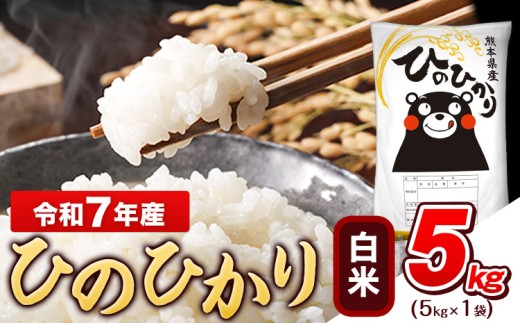 令和7年産 白米 ひのひかり 5kg《7-14日以内に出荷予定(土日祝除く)》 令和7年産 熊本県産 ふるさと納税 無洗米 白米 精米 ひの 米 こめ ふるさとのうぜい ヒノヒカリ コメ お米 おこめ
