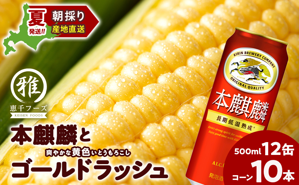 2025年夏発送 キリン本麒麟500ｍl 12缶＆黄色いとうもろこしゴールドラッシュ10本