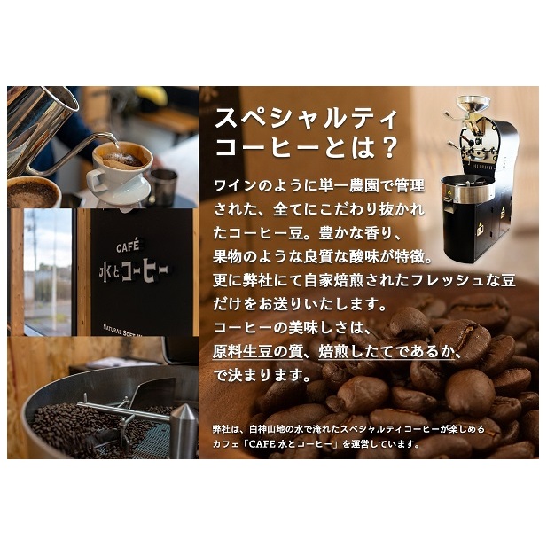 コーヒー 白神山地の水とコーヒー ギフト セット ドリップコーヒー ミネラルウォーター 詰め合わせ ドリップ ドリップオン 水とコーヒー オールドブレンド スペシャルティコーヒー ブレンドコーヒー 自
