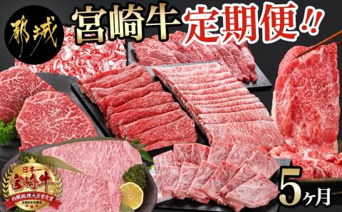 【定期便】宮崎牛定期便(5ヶ月)_T60（5）-0102