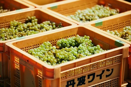 【丹波ワイン】和食に合うワイン 「山雀（やまがら）」 セット [017SA002]