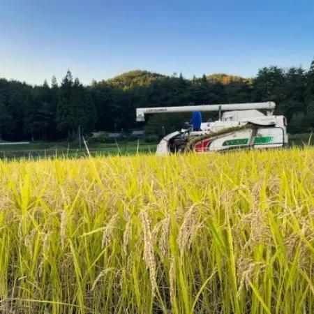 【毎月定期便】ササニシキ 白米 精米 10kg 岩手遠野市 勘六縁「たけのこ舎」全12回【4088047】
