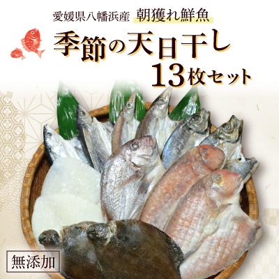 ふるさと納税 八幡浜市 無添加・天日干しピチピチ朝獲れ鮮魚の一夜干し13枚セット【H26-4】