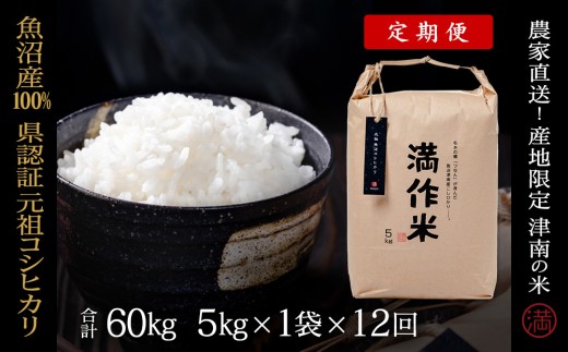 【 定期便 12ヶ月 】 米 5kg × 12回 令和7年産 魚沼産 コシヒカリ 県認証米 満作米 | ブランド米 お米 おこめ こめ コメ 白米 精米 おすすめ 人気 新潟県 津南町
