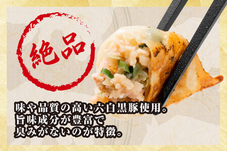 【大阪名物】大阪ふくちぁん黒豚餃子 冷凍生餃子 180個 ［36個入×5セット］