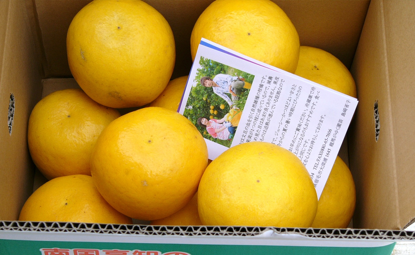 河内晩柑 4.5kg （M～5L） 【家庭用】 ばんかん 晩柑 バンカン 夏文旦  みかん 蜜柑 柑橘 フルーツ 果物 サイズミックス 初夏 夏 ジュース お酒 贈答用 ギフト お取り寄せ ビタミン 