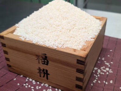 【令和7年産】【無洗米】コシヒカリ10kg 茨城県常総市産 精米｜米 お米 白米 ご飯 コメ こめ こしひかり