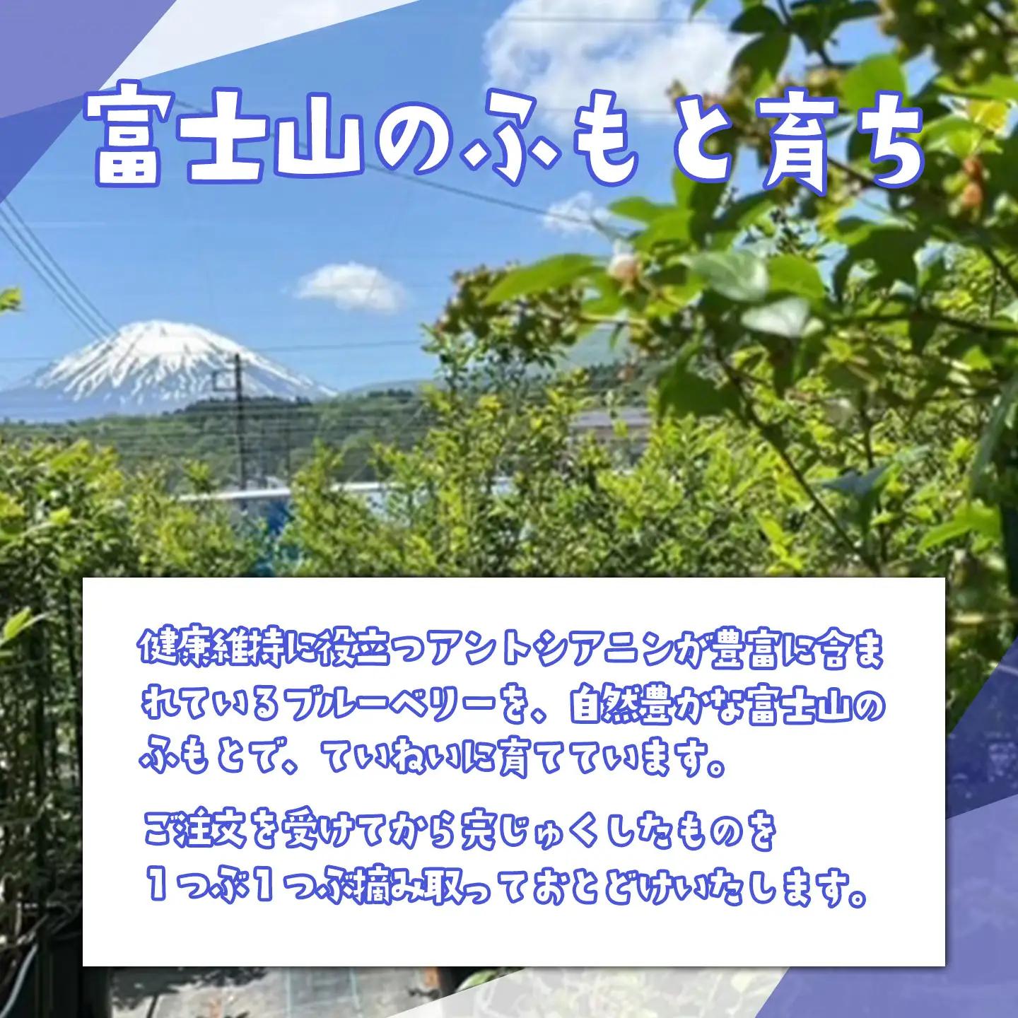 摘みたてブルーベリー 100g×4P 先行予約 ベリー