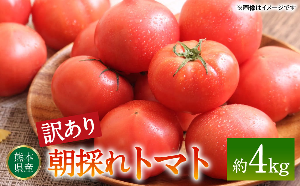 
【先行予約】【訳あり】朝採れトマト 約4kg 熊本県 八代市産 野菜 とまと 【2024年11月上旬より順次発送】
