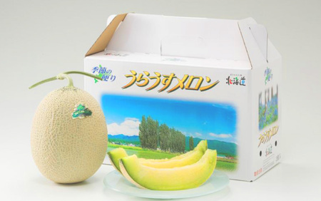 キングメルティーメロン 大玉 4玉（1玉 約2kg） 【2026年7月上旬～2026年7月下旬発送予定】 果物 フルーツ メロン めろん 青肉 希少フルーツ 希少品 北海道 浦臼町