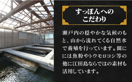 小分けが嬉しい！鍋が料亭級に大変身！？安心安全な国産の最高級食材！江田島すっぽん【切り身】200g × 2セット スッポン 切り身 雑炊 鍋 高級 江田島市/平井興産株式会社[XAC018]