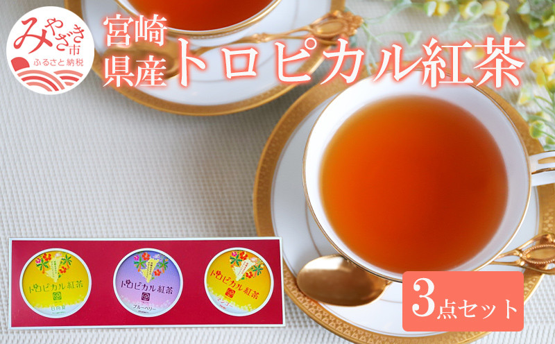 
トロピカル紅茶 3点 セット_M054-005
