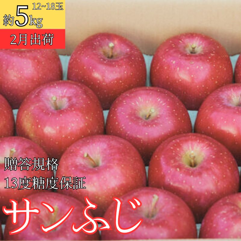 【ふるさと納税】2月 贈答規格 サンふじ約5kg（12～18個）13度糖度保証【青森りんご・ゆうきアップル・2月】 　お届け：2026年2月10日～2026年2月25日