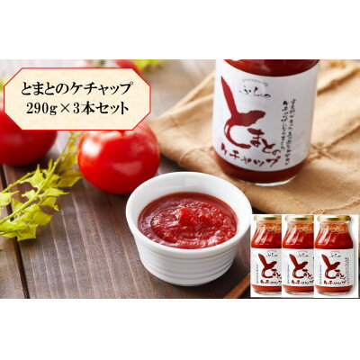【ふるさと納税】【北海道産トマト使用】ふらの とまとのケチャップ 290g×3本入【1670262】