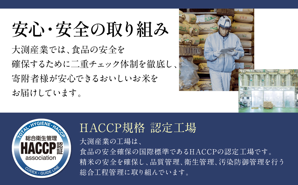 【先行予約】《令和7年産》くまさんの輝き 5kg×2袋 合計10kg  熊本県 八代市産 米 お米 精米 白米 国産 【2025年11月下旬より順次発送】