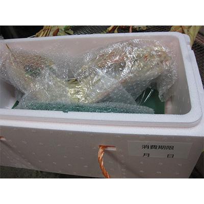 ふるさと納税 宮津市 茹で松葉蟹　1杯(700g級) |  | 03