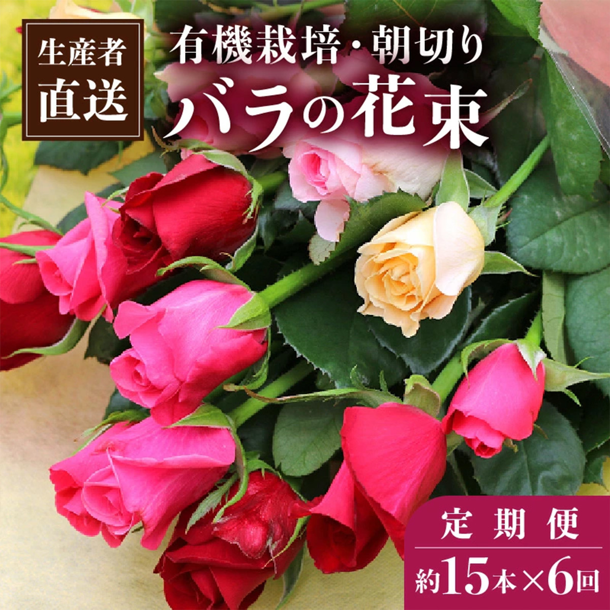 【約15本×6カ月】生産者直送　有機栽培で育った朝切りバラの花束　花の定期便　【11246-0077】