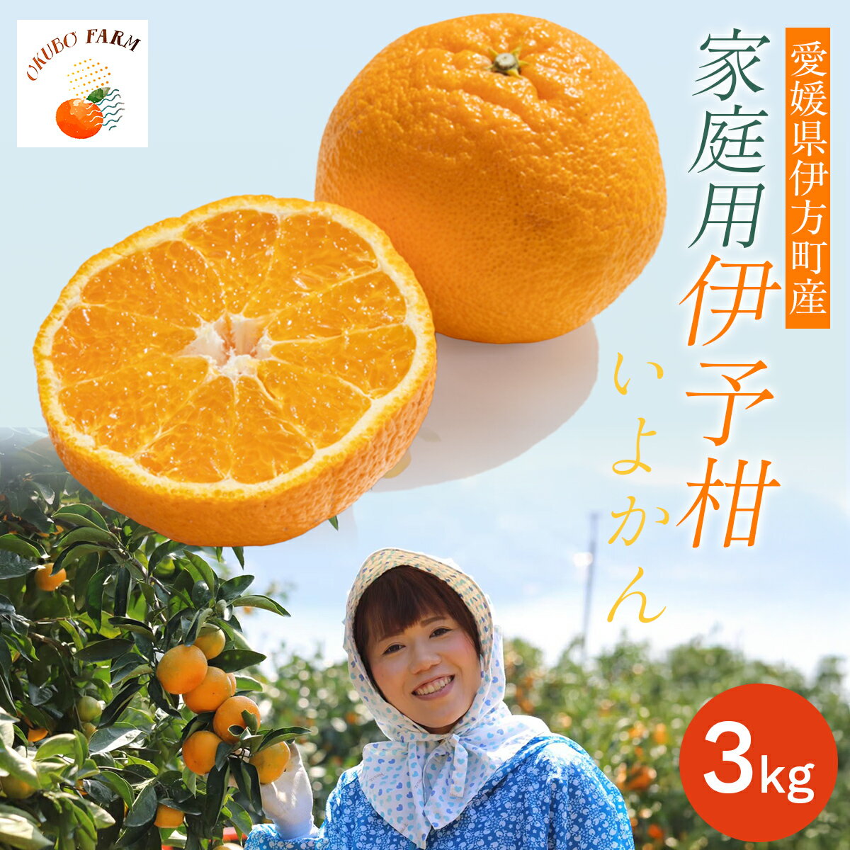 【ふるさと納税】【先行予約】【家庭用】伊予柑 3kg ※北海道・沖縄・離島への配送不可 （2026年1月中旬より順次発送予定） 【 ふるさと納税 人気 おすすめ ランキング みかん ミカン 伊予甘 フルーツ 果物 OKUBO FARM 愛媛県産 家庭用 愛媛県 伊方町 送料無料 】 IKTAT004