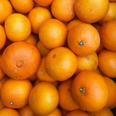 【ご家庭用】紅まどんな と同品種 愛媛果試28号 7kg みかん 八幡浜市【H25-362】【1716681】