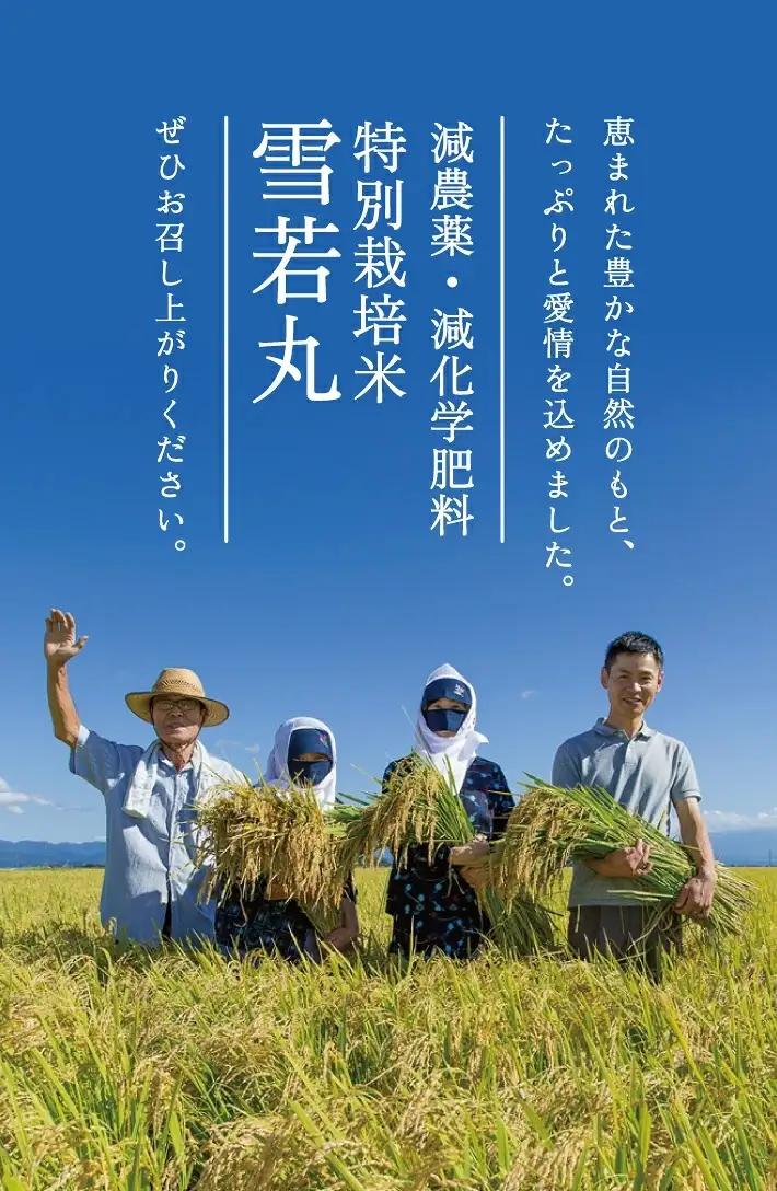 SC0750　12月上旬配送／令和8年産【玄米】つや姫マイスターが作った 特別栽培米『雪若丸』10kg(5kg×2袋)［減農薬・減化学肥料］ MA