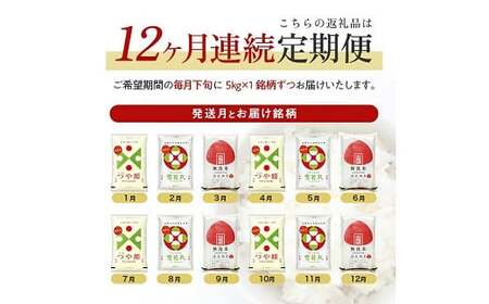 【定期便】無洗米3銘柄定期便 5kg×12ヶ月連続 計60kg(5月～4月) つや姫 雪若丸 はえぬき [1394T05]