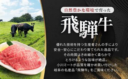 飛騨牛Ａ5 焼肉用 300ｇ ロース 又は 肩ロース肉 ｜国産 肉 牛肉 焼肉 和牛 黒毛和牛 グルメ A5等級 おすすめ AD114【飛騨牛 和牛ブランド 飛騨牛 黒毛和牛 飛騨牛 岐阜 大野町 飛