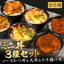 【ふるさと納税】レンジで簡単調理！ミニ丼3種セット！チキンソースカツ丼・天丼・かき揚げ丼 各2個 (計6個セット)【かつ丼 丼 どんぶり ソースカツ 天ぷら 天麩羅 甘えび えび エビ かき揚げ グルメ 惣菜 おかず ごはん 調理済み 簡単調理 温めるだけ レンジ 詰合せ 冷凍】