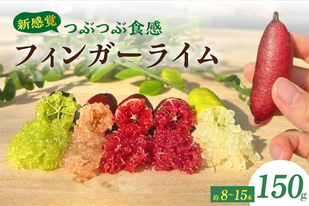 新感覚つぶつぶ食感！フィンガーライム　150ｇ（約8～15本）｜フルーツ