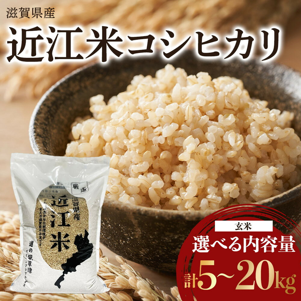 【ふるさと納税】令和7年産　近江米コシヒカリ 玄米 5kg・10kg・15kg・20kg