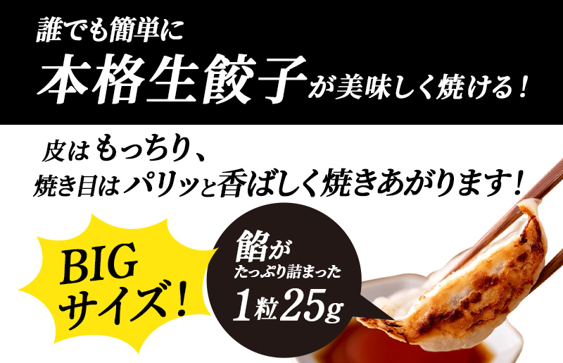 泉州キャベツ餃子80粒【射手矢農園×李朝園 生餃子 自家製 手作り ぎょうざ ギョーザ 惣菜 冷凍 焼くだけ 簡単調理】 005A730