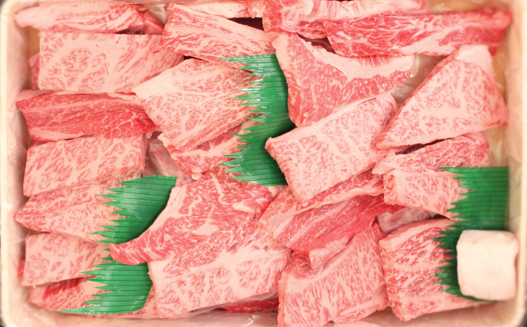愛媛県産 黒毛和牛 雌牛 いしづち牛肩ロース 焼肉用 500g（664）
