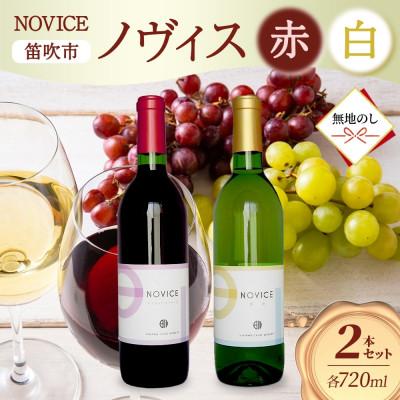 ふるさと納税 笛吹市 【無地熨斗】ワイン NOVICE 赤&amp;白 飲み比べ 各1本 セット 日川中央葡萄酒 山梨県笛吹市