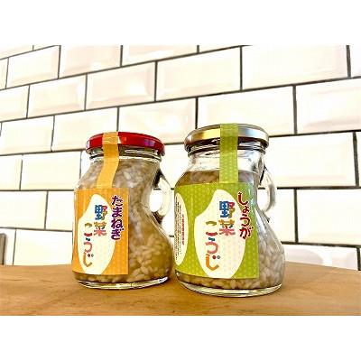 ふるさと納税 飛騨市 野菜こうじ　しょうが　×6本セット |  | 02