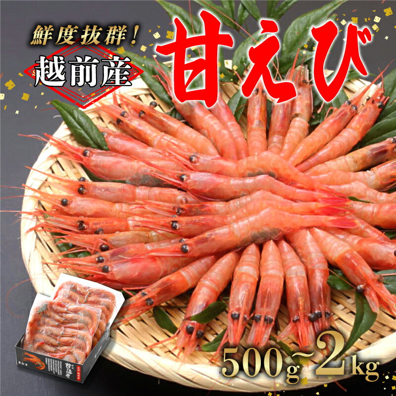 【ふるさと納税】【選べる容量！】【小分け】越前産冷凍甘えび 500g / 1.0kg / 1.5kg / 2.0kg [C-11012] / 甘えび 甘エビ えび 甘エビ 海老 海鮮 刺身 冷凍 人気 福井県鯖江市