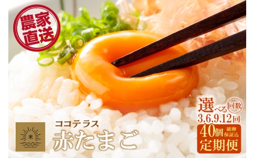 
                  【3～12ヵ月定期便】ココテラスの明日（赤たまご）35個 + 5個保証（計40個）選べる定期便回数【JGAP認証】
                
