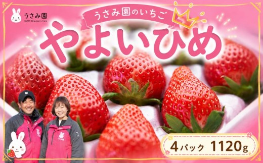 いちご 約1120g 【2～3月発送】 4パック やよいひめ 苺 イチゴ 果物 フルーツ くだもの 旬 デザート 産地直送 農家直送 数量限定 期間限定 旬 お取り寄せ 贈答用 プレゼント ギフト 贈り物 ichigo strawberry itigo ふるさと納税いちご 茨城県 鉾田市 うさみ園 ＼第5回茨城いちごグランプリ大賞受賞／