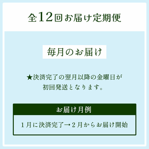 【 定期便１２回 】 みらい乃野菜 はんなりレタス 12袋 720g 12回 レタス 袋入 【送料無料】 水耕栽培 野菜 れたす 葉物 サラダ 高抗酸化値 低硝酸態窒素 小分け 小袋 そのまま 食べれ