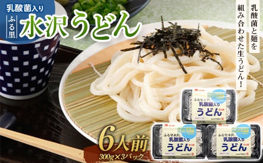
乳酸菌入りふる里水沢うどん 6人前 麺 生うどん 水沢 生饂飩 生麺 生めん F4H-0199
