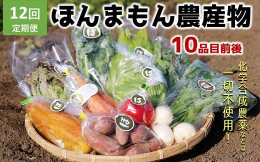 【12ヶ月定期便】化学合成農薬等不使用で栽培！安心安全な「ほんまもん野菜」を10品目前後お届け♪