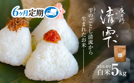＜6ヶ月定期便＞＜令和7年産＞ 京都夜久野産 清雫(せいな) コシヒカリ 白米 (5kg×6回) 【fc-DB006-B06】【合同会社夜久野清雫】