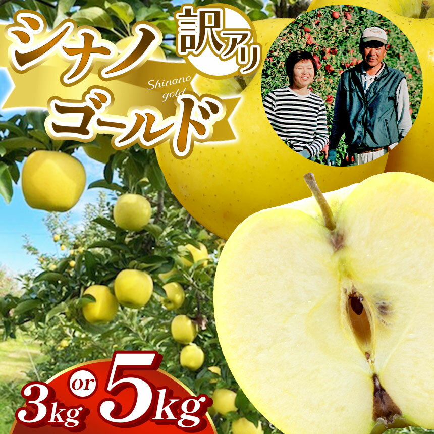 【ふるさと納税】訳アリ　シナノゴールド　3kg～5kg | ふるさと納税 長野県 松本市 林檎 りんご リンゴ 訳あり シナノゴールド 信州産 季節限定 大容量
